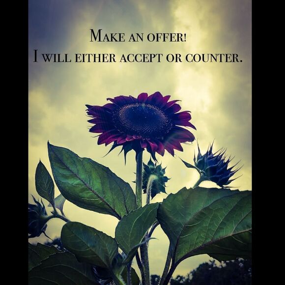 🏖 Faultless Premium Professional Starch 20 Ounce - Picture 2 of 3